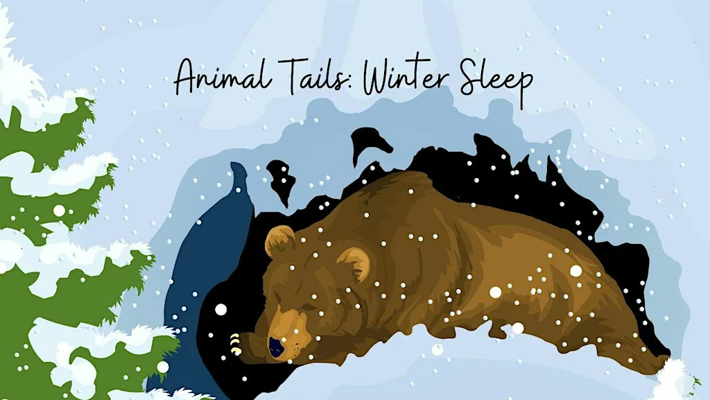 Animal Tails: Winter Sleep at Museum Of Zoology