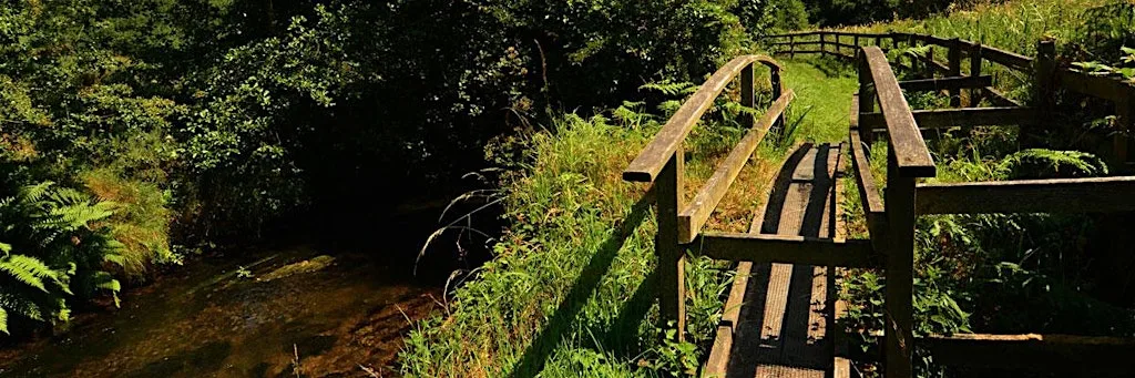 Ballyorgan ‘C’ Walk – Keale River Valley at Ballyorgan