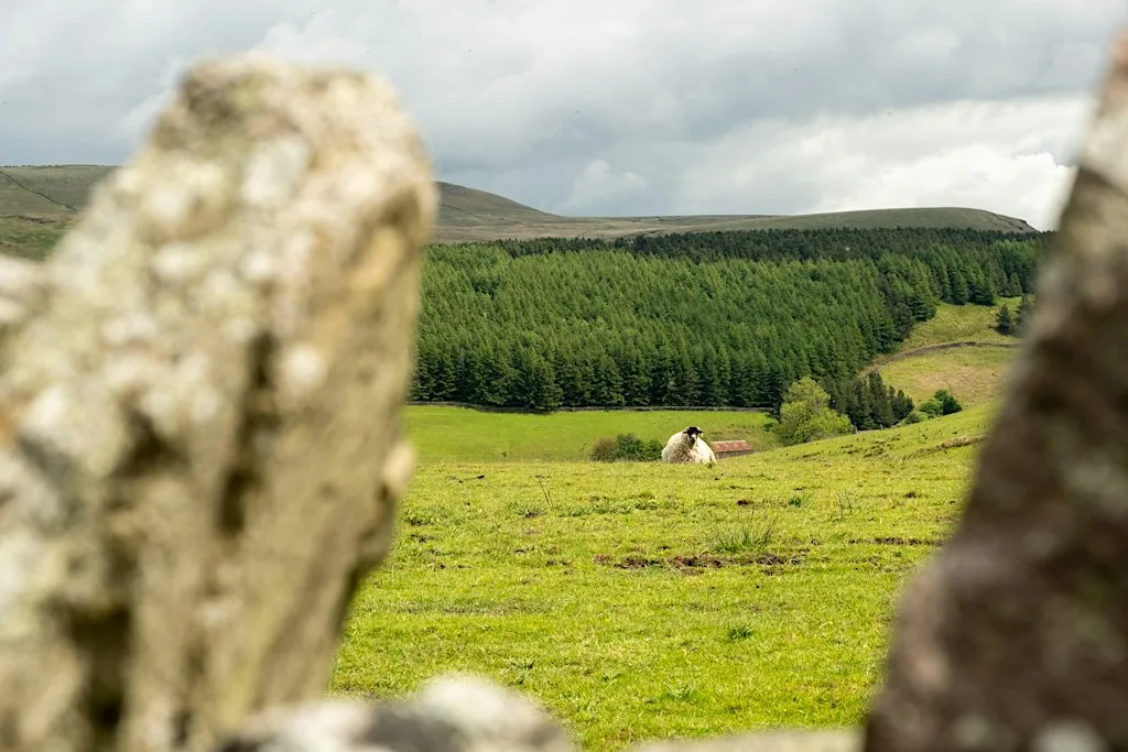 Stockport Mens Wellness Hike: Lantern Pike