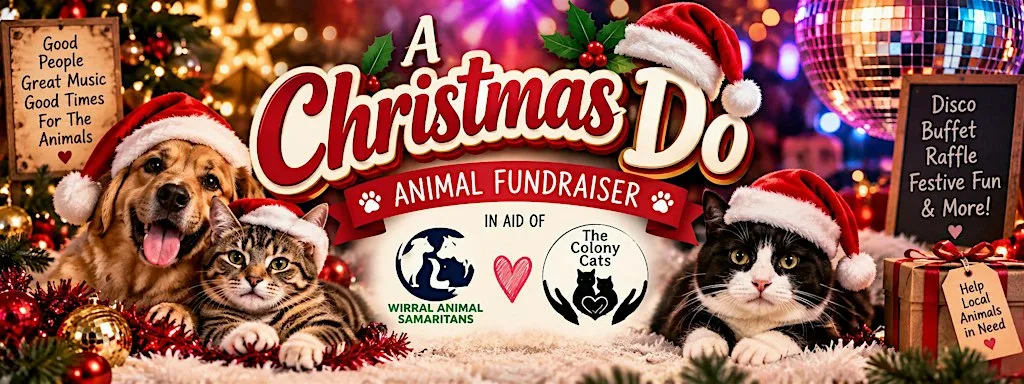 Christmas Do / Animal Fundraiser