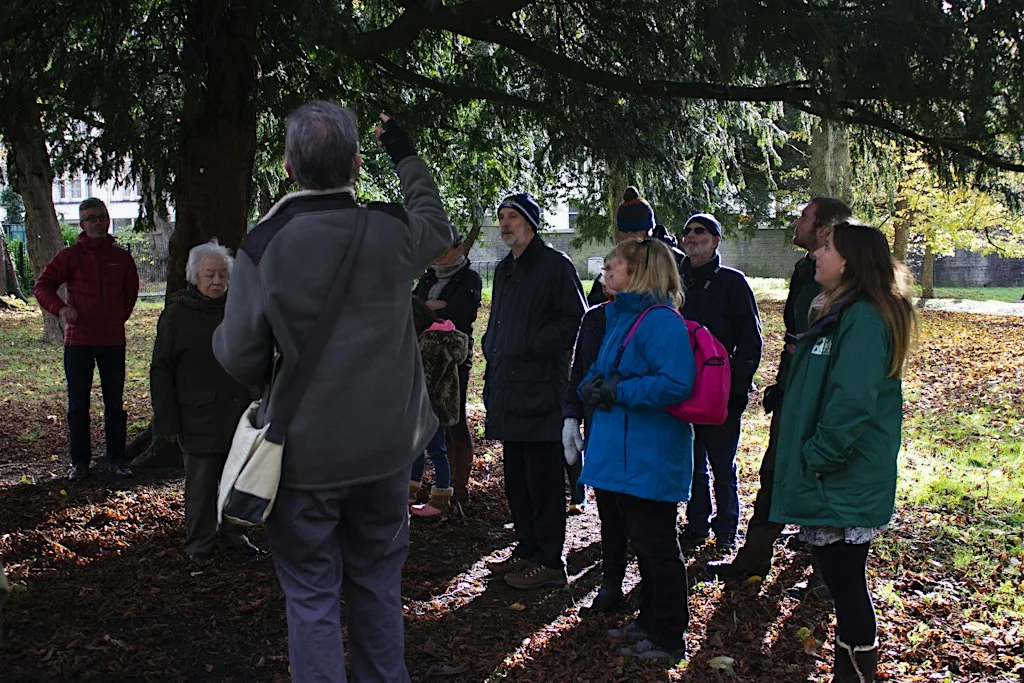 Taith Ystlumod Cyfeillion Parc Bute / Friends of Bute Park Bat Walk at The Secret Garden