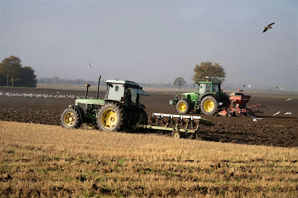 Looking after peat soils in the Fens - is new farming needed?