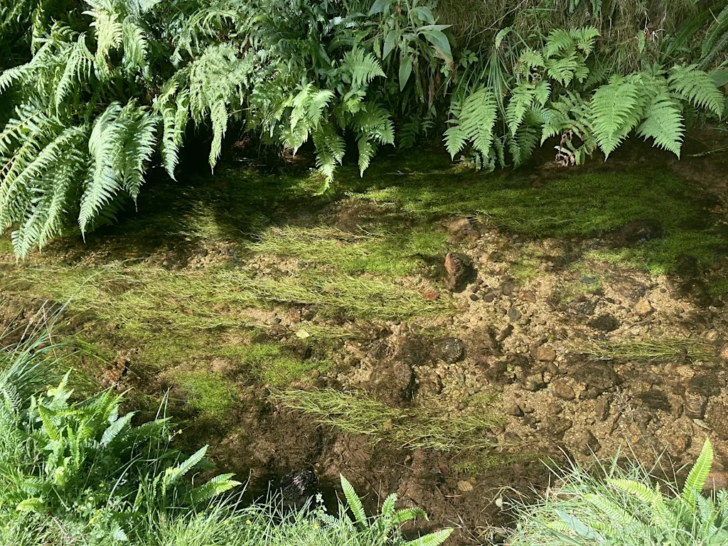 Our Land Flows... from Peat to Pipe: Celebrating Dartmoor's water at Burrator Reservoir Discovery Centre