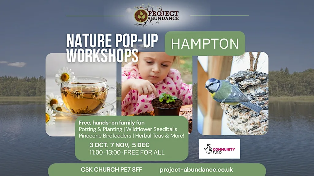 Hampton Nature Pop-Up Workshops at CSK Church