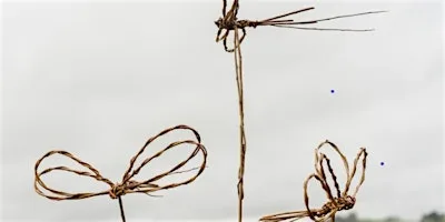 Creative Mondays at Combe Valley: Willow Dragonfly Sculpture at Combe Valley Discovery Centre and Community Garden