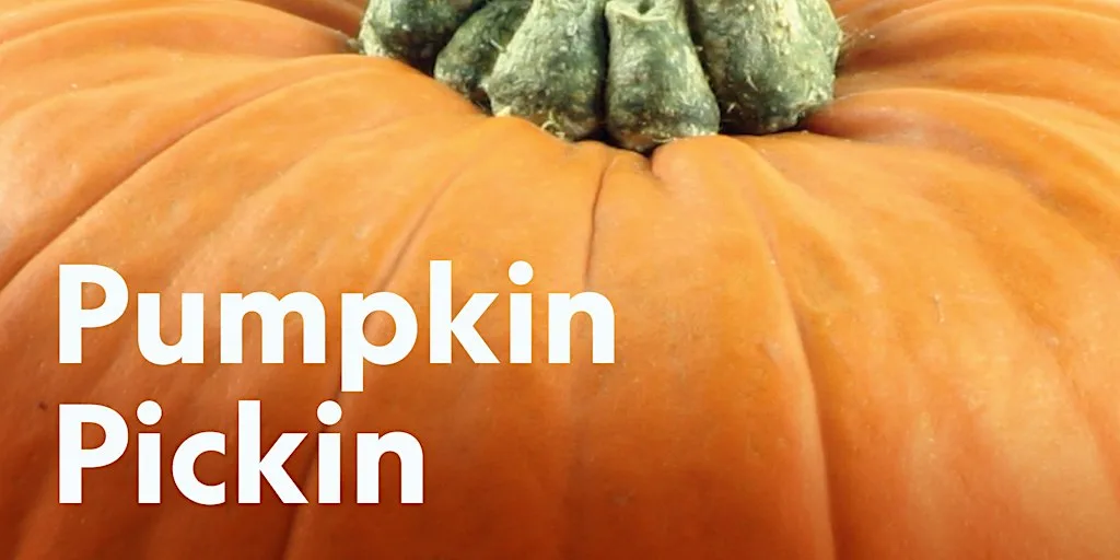 Pumpkin Pickin at Haigh at Haigh Woodland Park