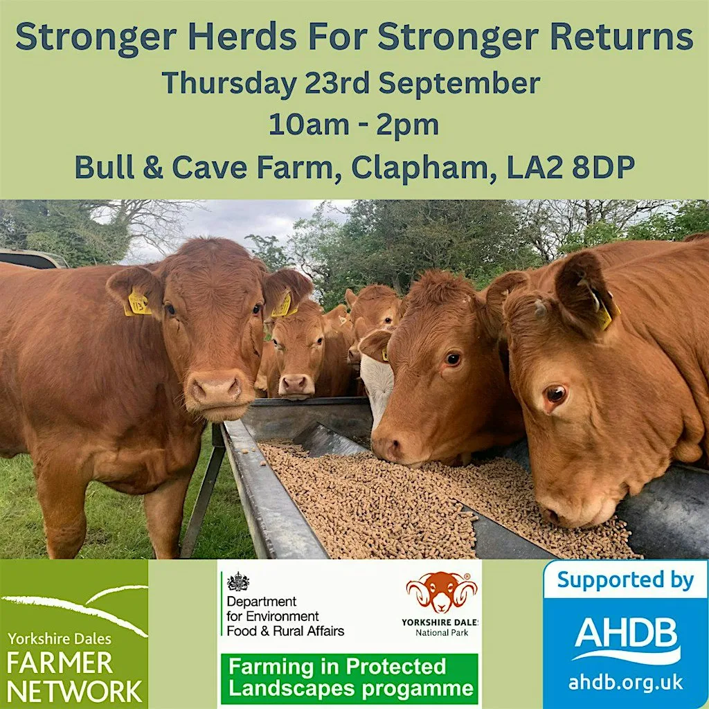 STRONGER HERDS FOR STRONGER RETURNS