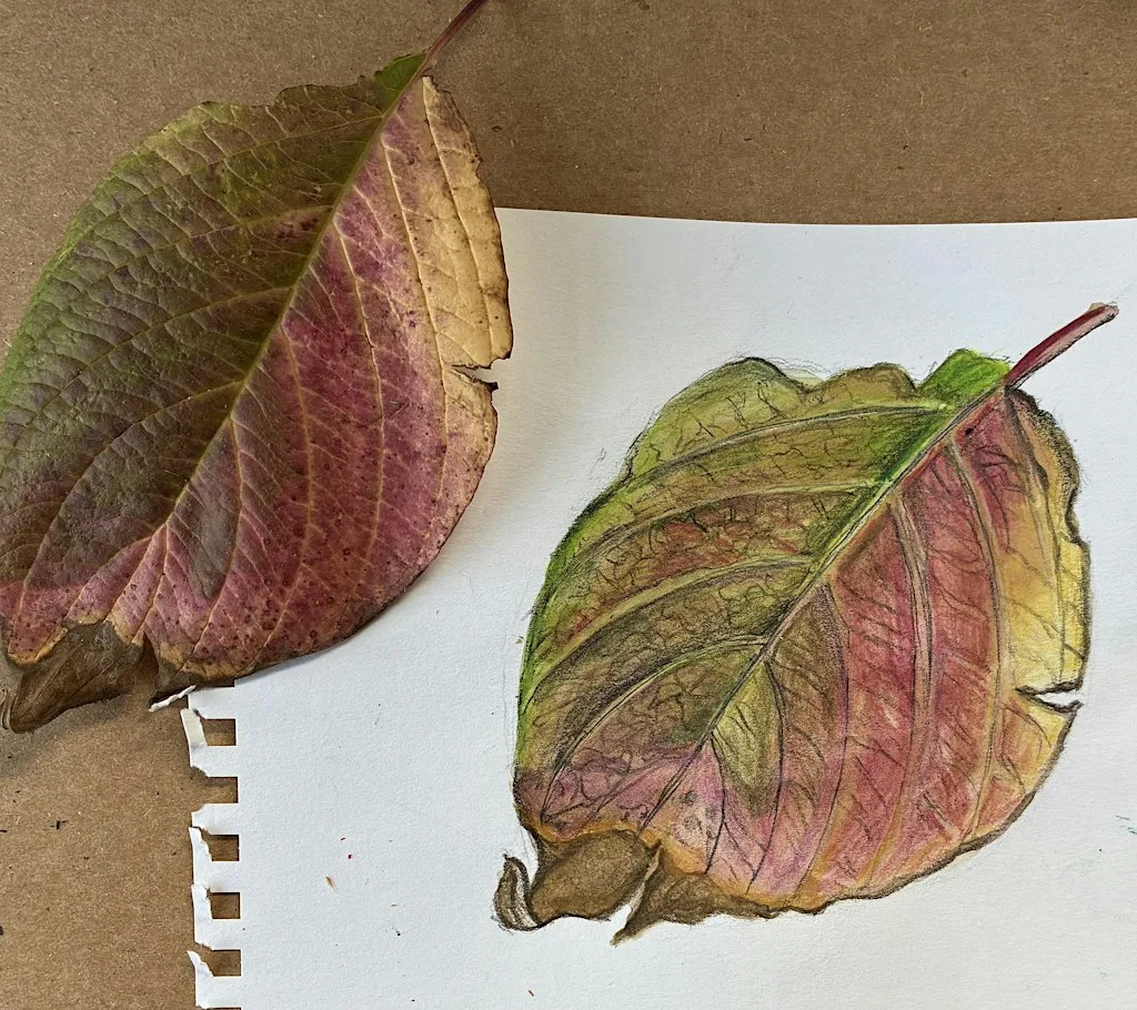 Watercolour Leaves Workshop at St Michaels Church, New Marston