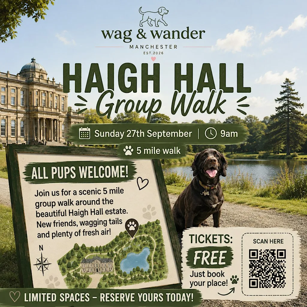 Haigh Hall Guided Group Walk at Haigh Woodland Park