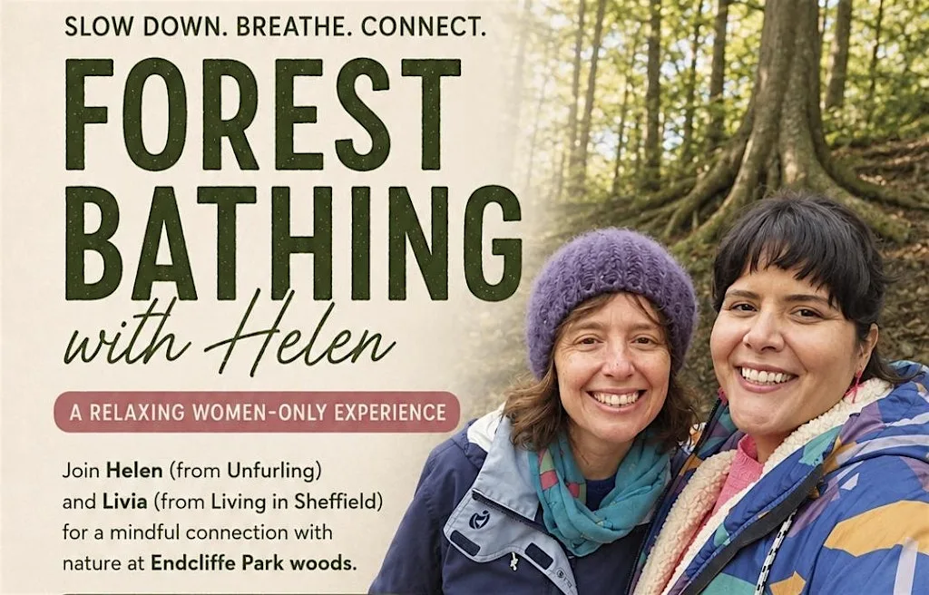 The Living in Sheffield Forest Bathing with Helen at Endcliffe Park Cafe