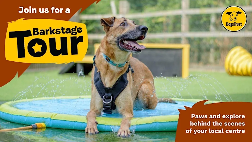 Barkstage Tour
