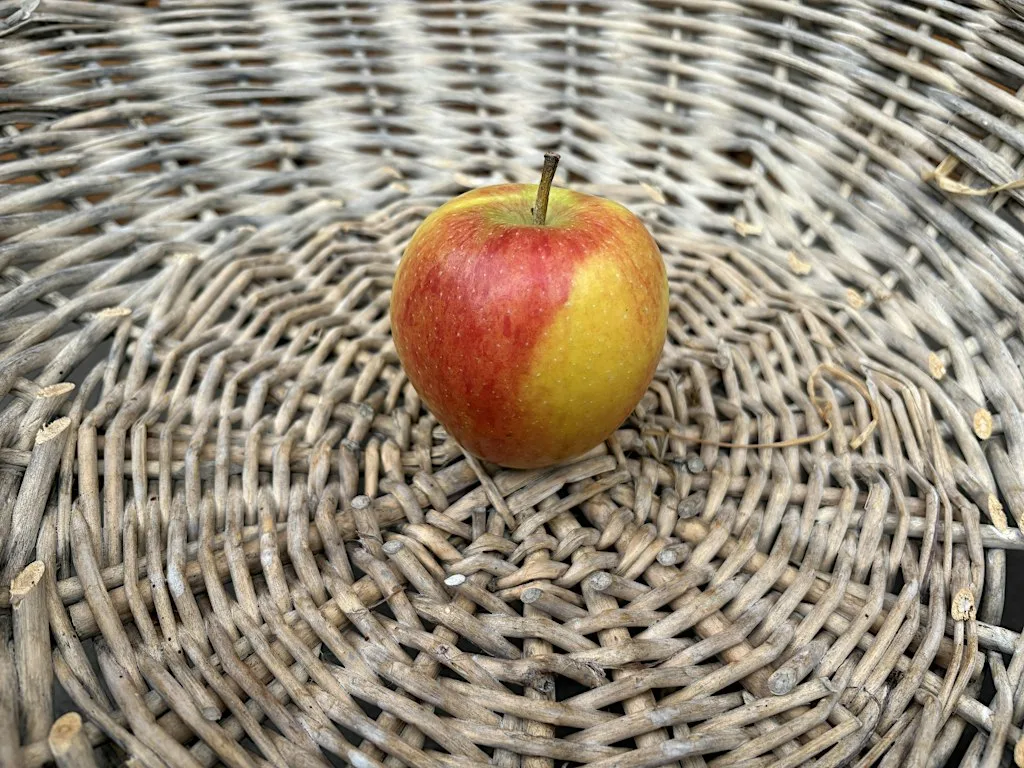 Apple Pressing with London Wild Fruits at R-Urban Poplar