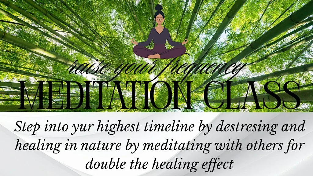 Meditation class in Nature to your highest timeline