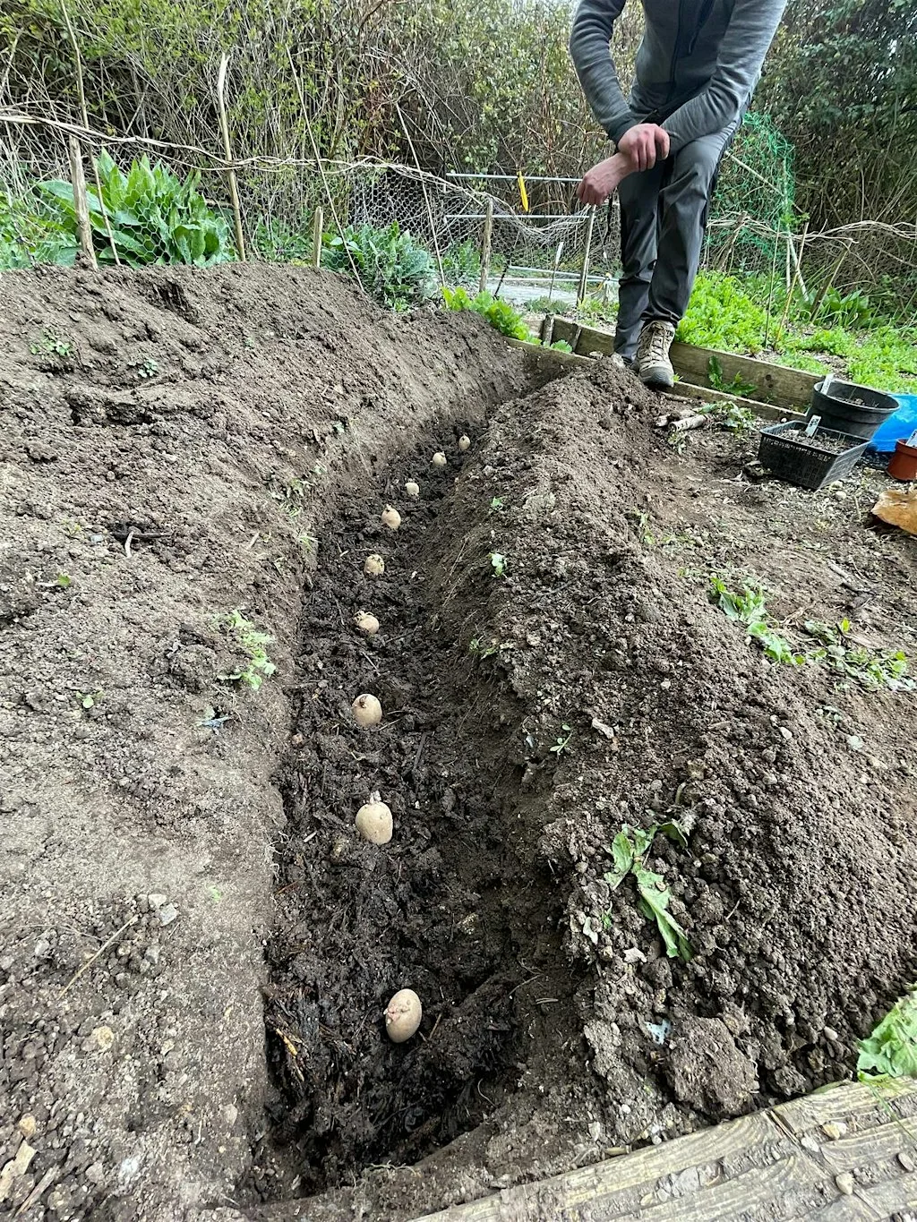 Introduction to Ecotherapy
