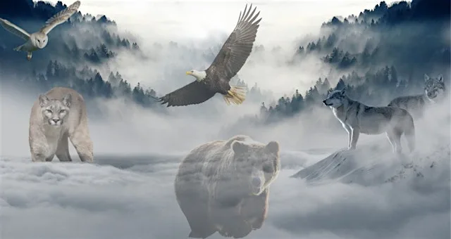 Introduction to Shamanism & The Shamanic Journey - Evening Workshop