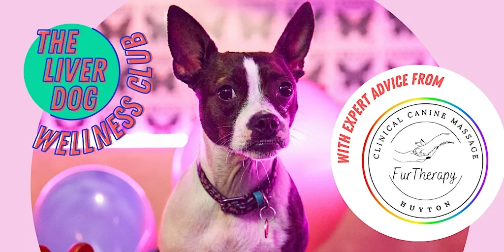 The Liver Dog: Wellness Club (Garston)