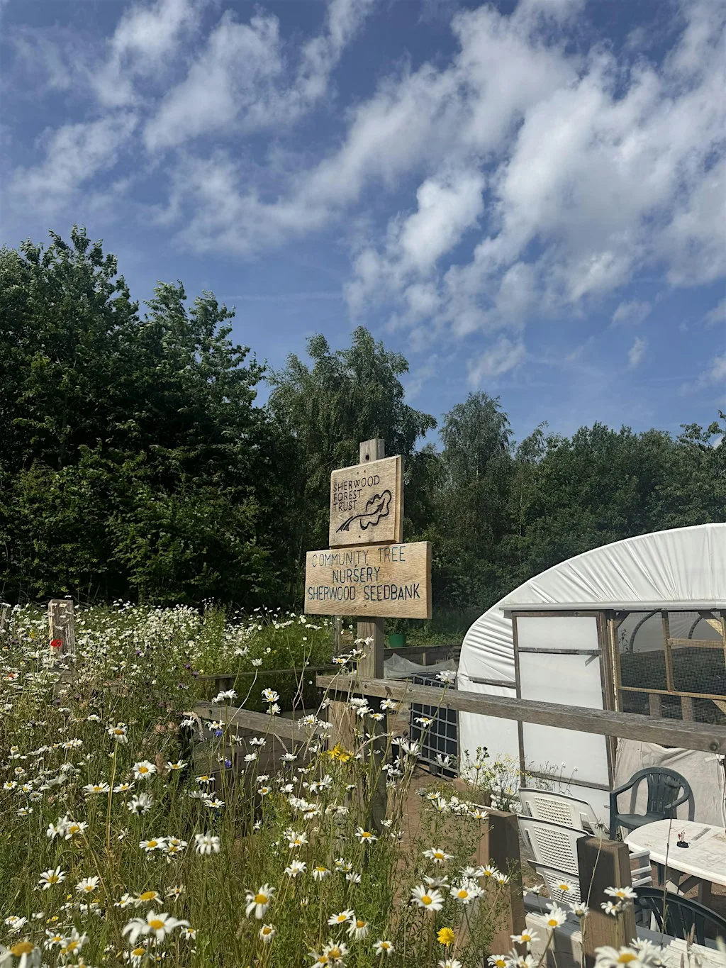 Tree Nursery Open Day & Tree Giveaway!