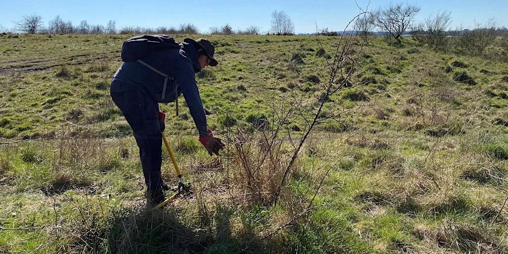 Scrub Regrowth Clearance at Haydon Batch at Haydon Que Club