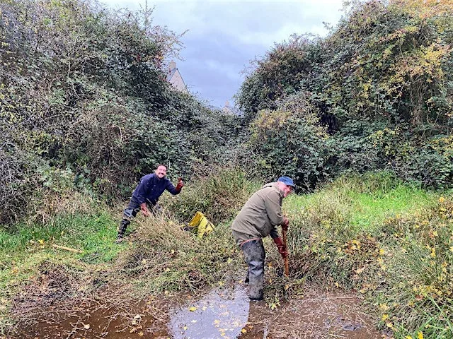 Pond Restoration at Silver Street Nature Reserve at Silver Street