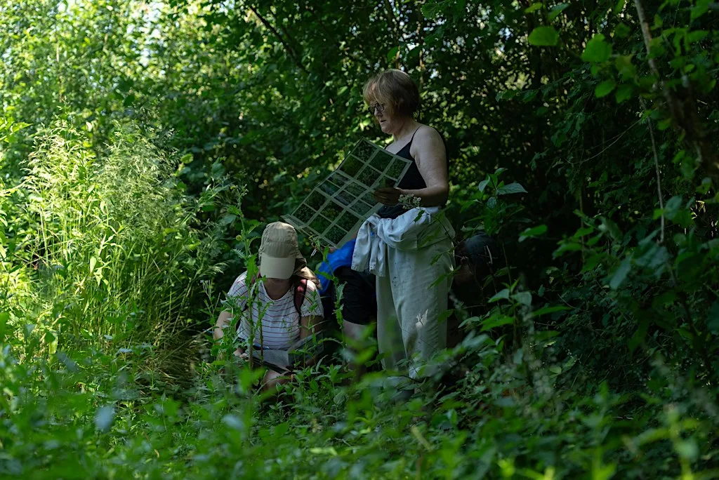 Invasive Species Training Session