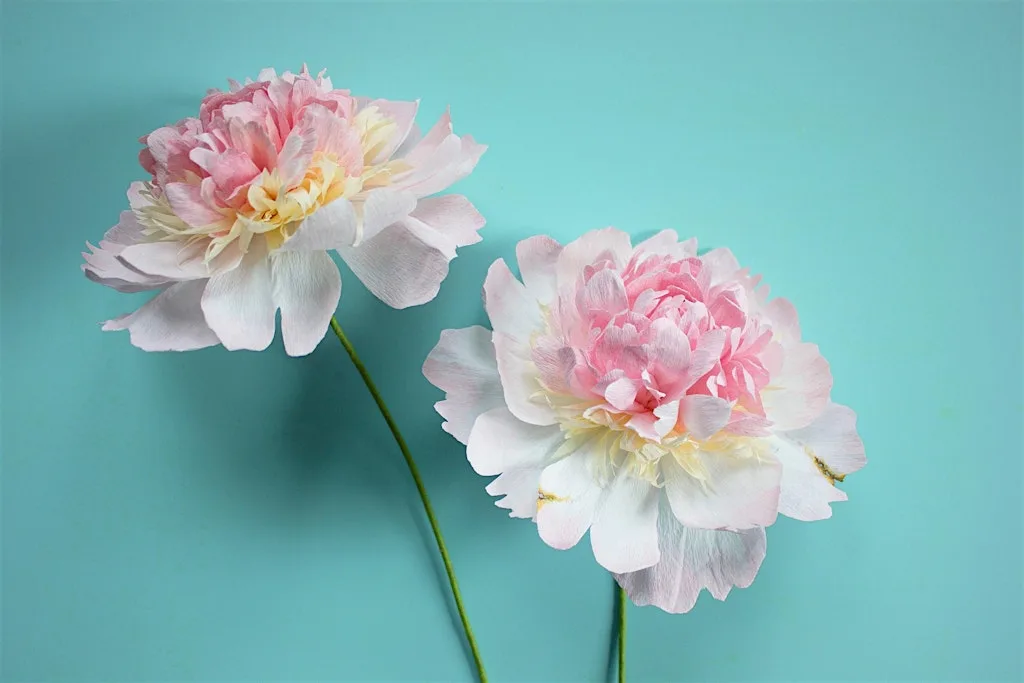 Create a Paper Peony Workshop
