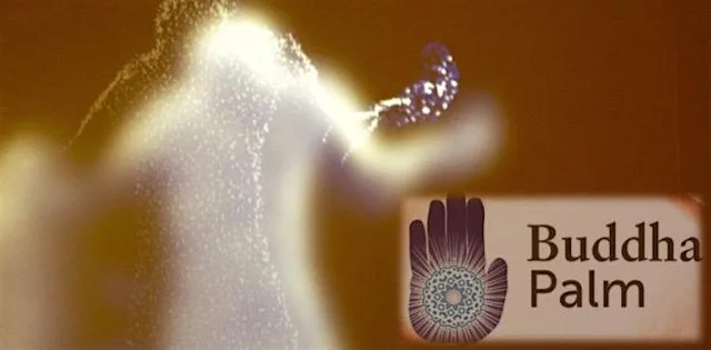 Qi Gong and Buddha Palm healing energy