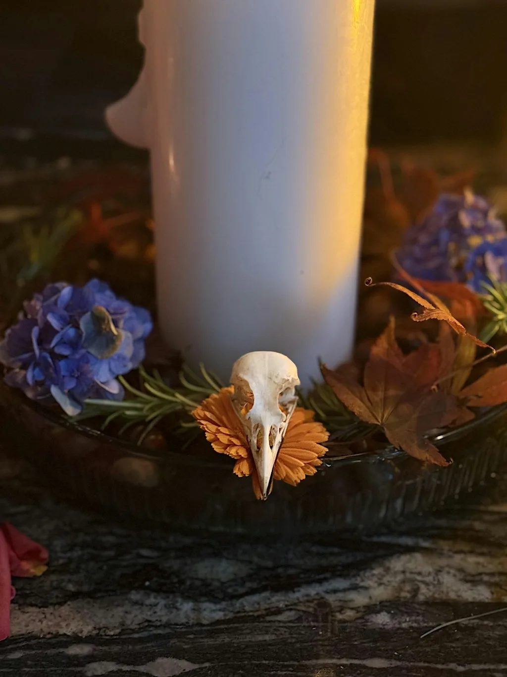 Potion Coven - Women’s Circle