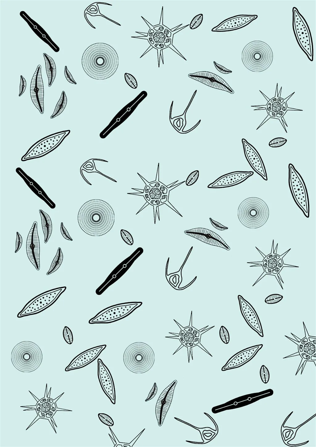 Diatom Project introduction session