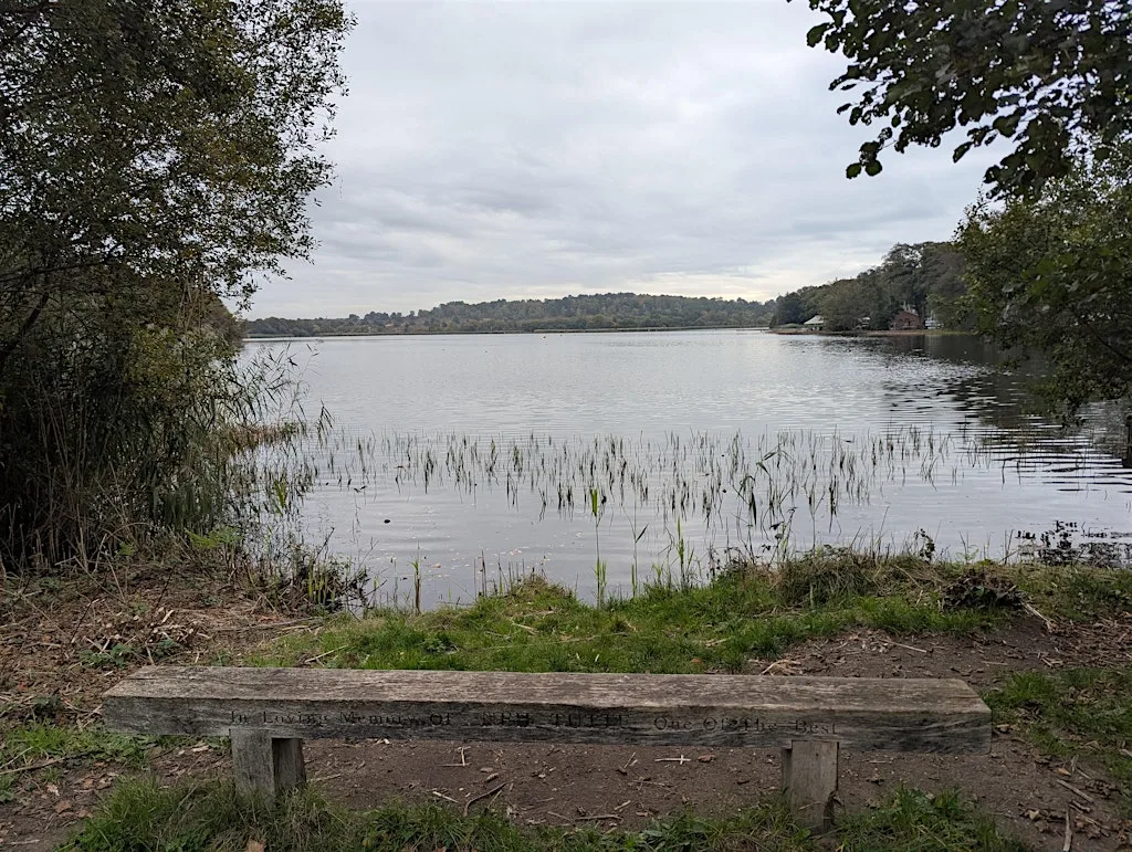Guildford Coaching Community - Walk with Rob - Frensham Ponds at Frensham Great Pond
