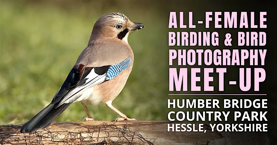All-Female Bird & Bird Photography Morning