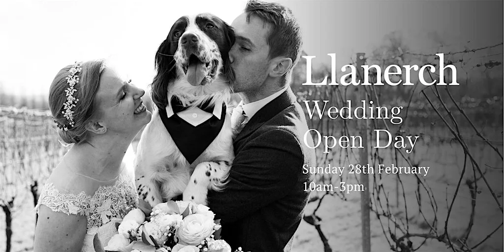 Llanerch Vineyard Wedding Open Day- Sunday 28th February 2027