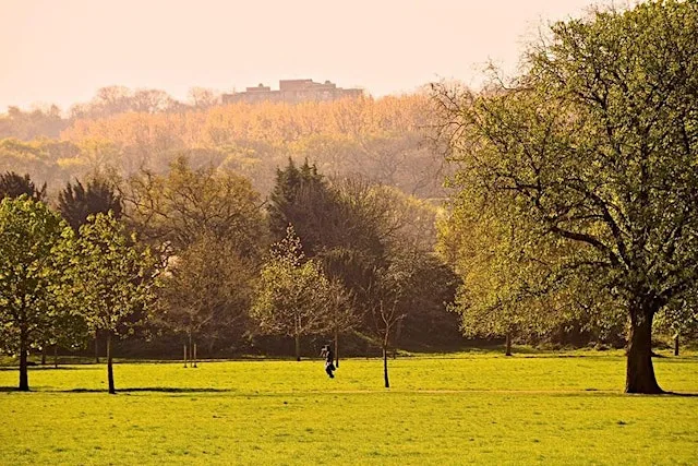 Black Girls Hike x London Wildlife Trust: Sydenham Hill to West Dulwich Stn