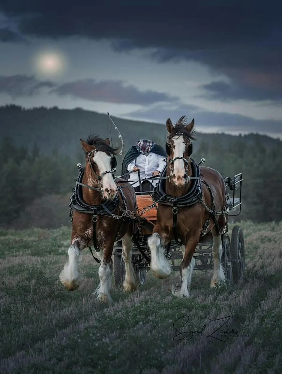 Trick or Trot Halloween Trail 2 at Lochton of Leys Farm
