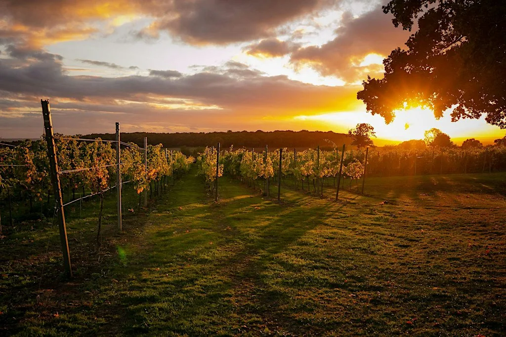 Sculpt & Sip: Pilates in the Vineyard at Blabers Hall Wine Estate