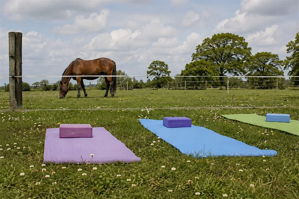 Yoga with Horses | Equine & Nature Connection | Hillam, Leeds LS25 at Fairfield Equine Facilitated Wellbeing