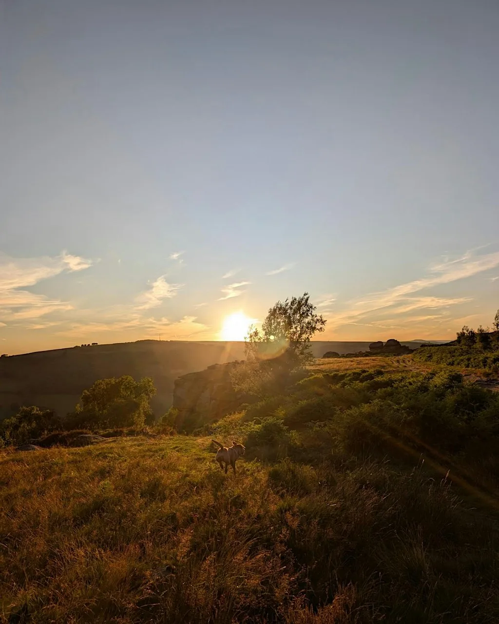 Halloween Sunset Guided Hike - Women only