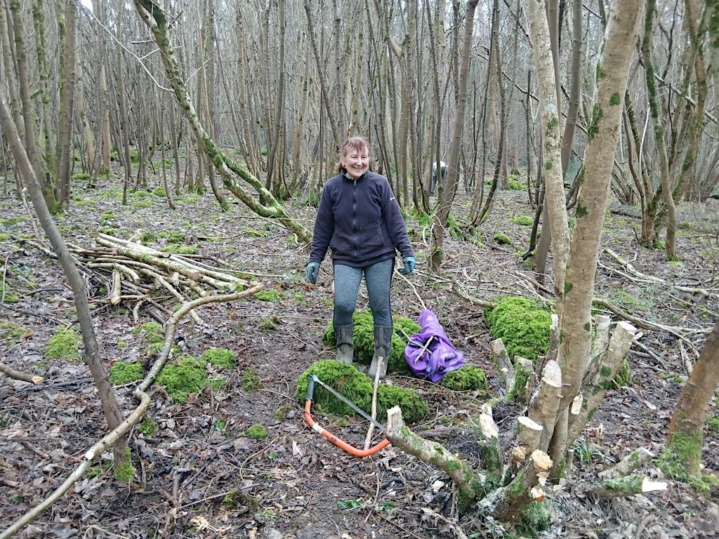 Volunteers needed to help us coppice hazel at Warleigh Nature Reserve, Bath at Warleigh Nature Reserve