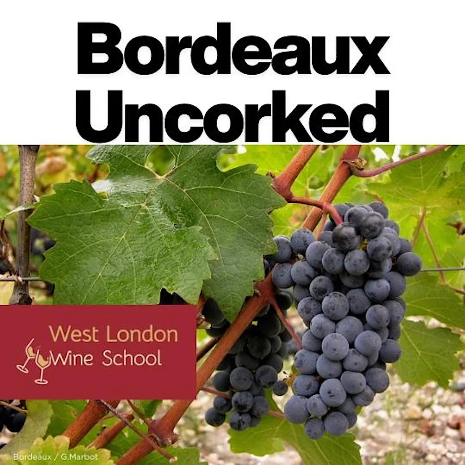 Bordeaux Uncorked Part II: Left Bank – Gravel, Glory & the Kingdom of Caber at West London Wine School