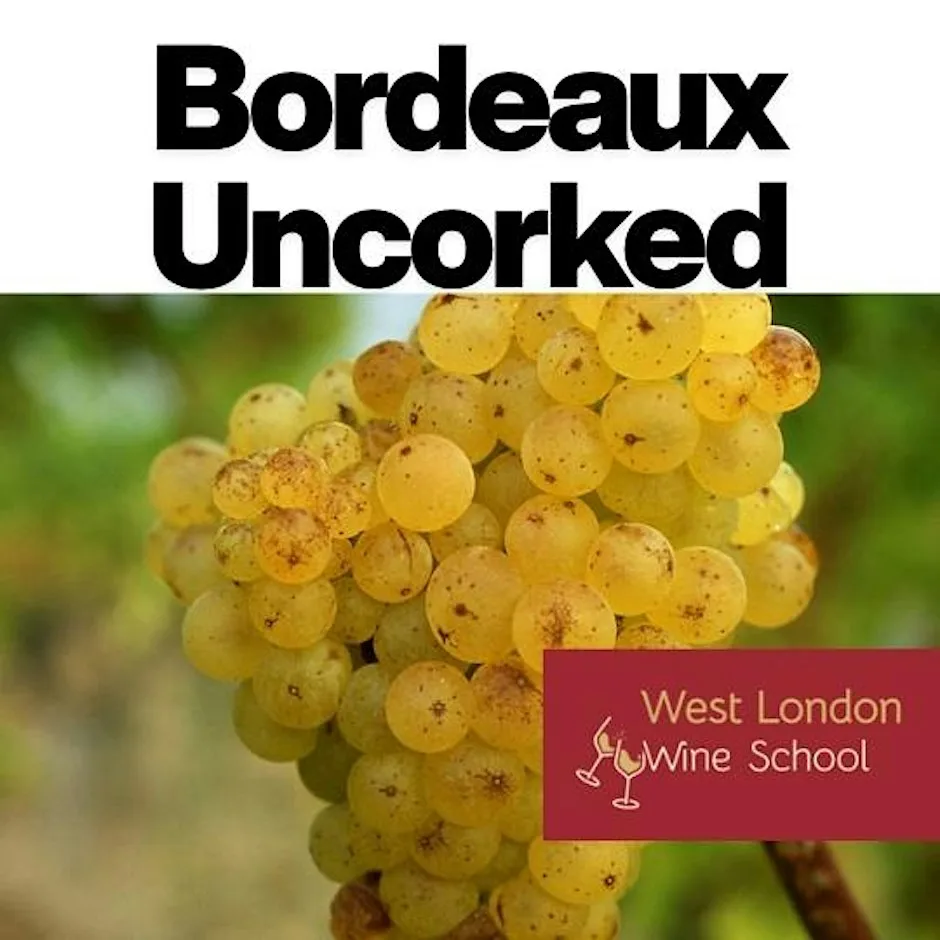Bordeaux Uncorked Part IV: Bordeaux After Dark – Bubbles, Botrytis & Liquid at West London Wine School