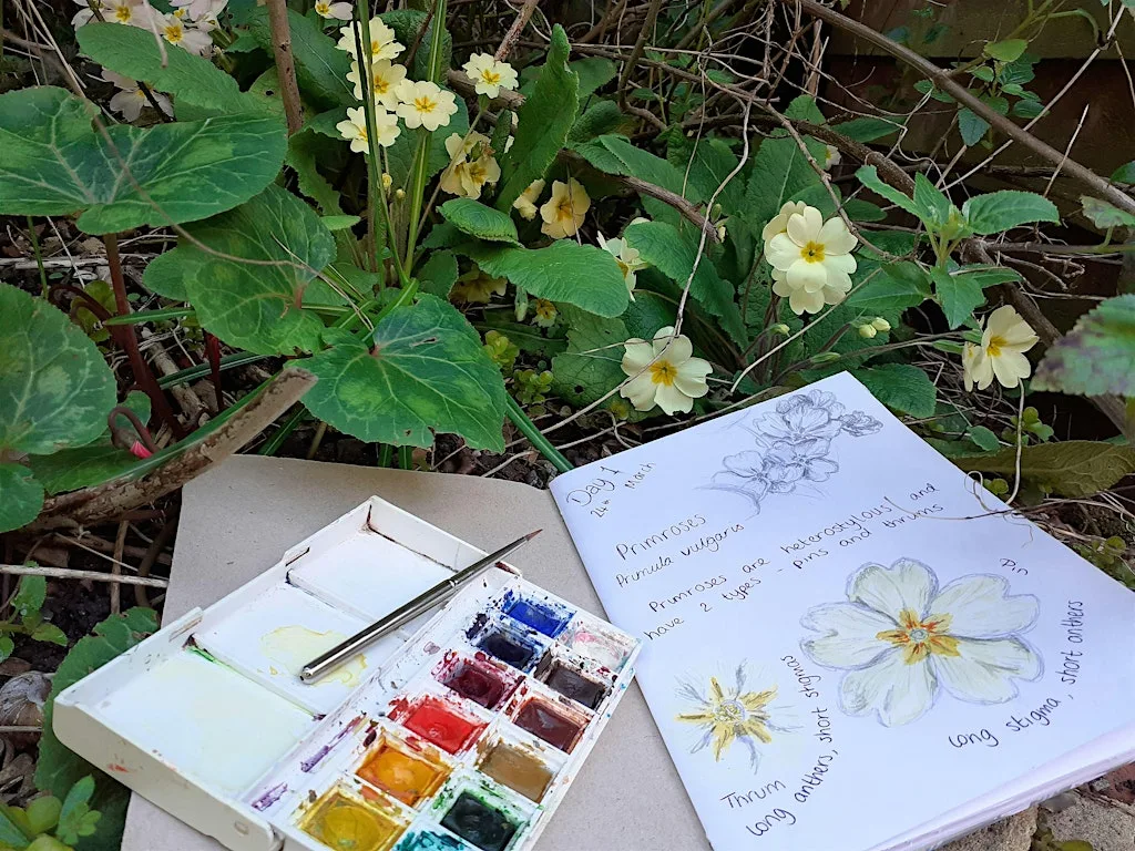Fingringhoe Woodland Wildlife Ramble and Nature Journaling at Fingringhoe Wick Nature Discovery Park