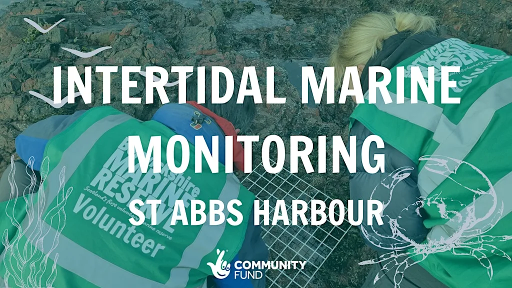 Intertidal Marine Monitoring - St Abbs