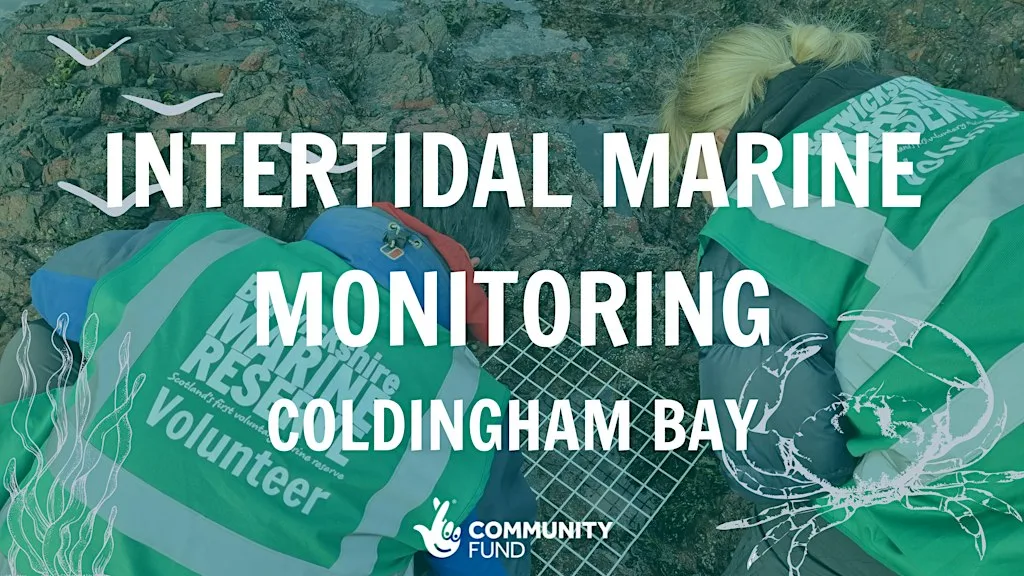 Intertidal Marine Monitoring - St Abbs