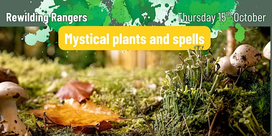Rewilding Rangers: Mystical Plants and Spells at Denmarkfield Allotments