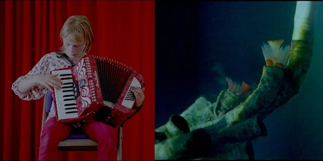 Baltic Cinema: Cladach + The Winds of Fogo at BALTIC Centre for Contemporary Art