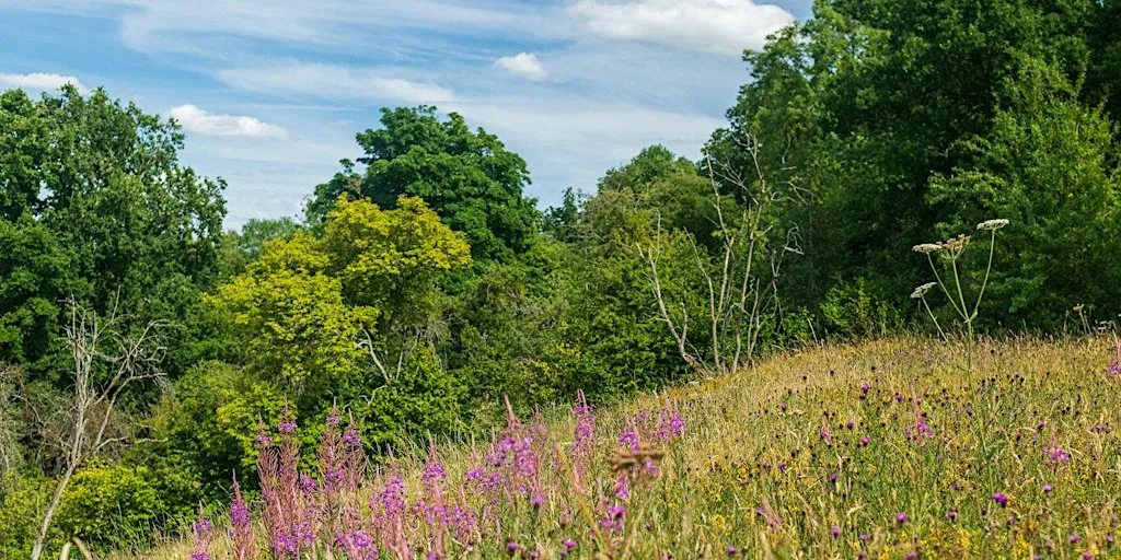 Nature Reserve Work Party- Common Hill at Common Hill