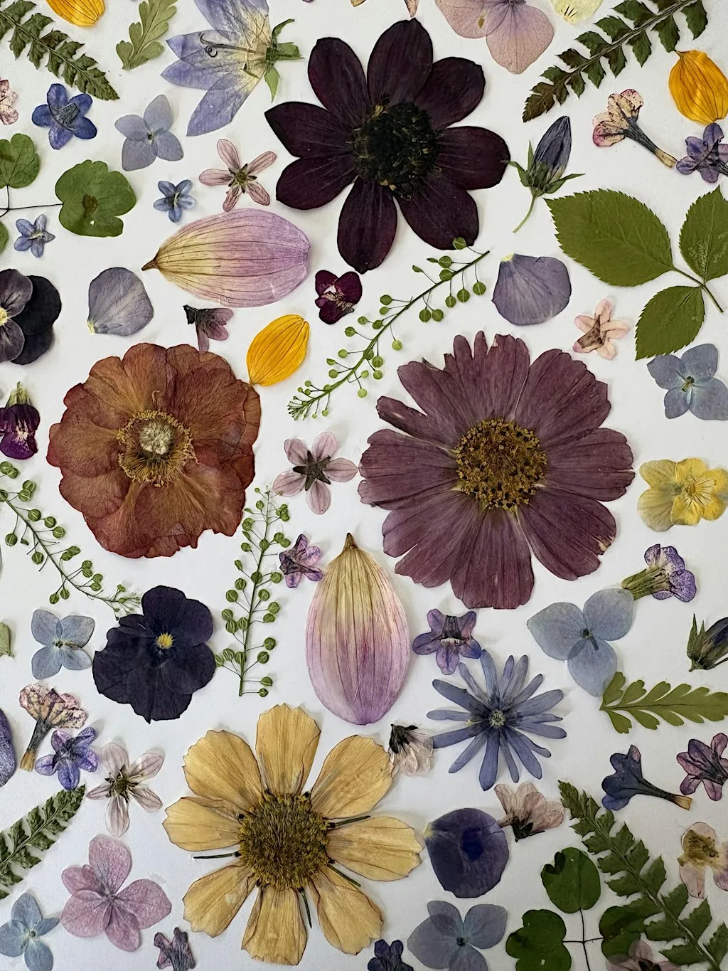 Pressed Flower Floral Art at Moore's Trim