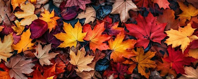 Ladies Autumn Painting Event
