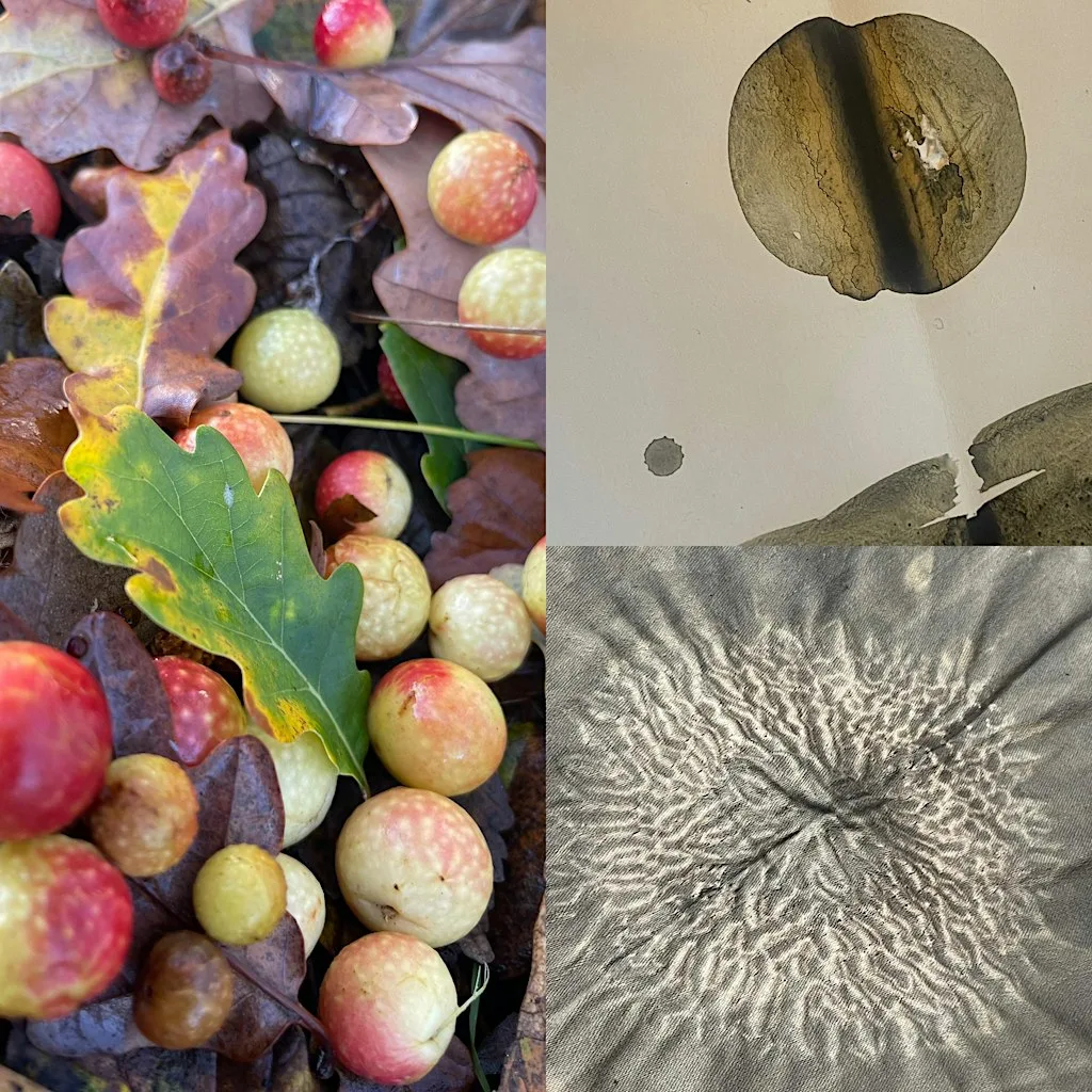 Tannin: Adventures into the dark - shibori style stitched tie dye at Bagshaw Museum and Wilton Park