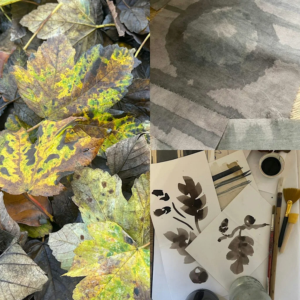 Tannin: Adventures into the dark - eco printing at Bagshaw Museum and Wilton Park