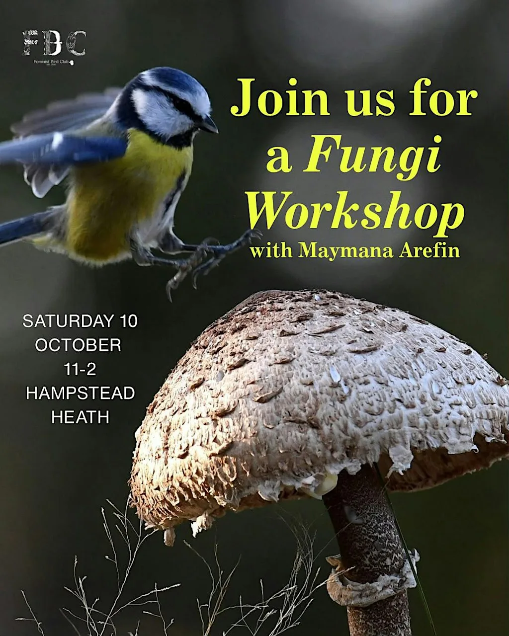 Fungi Workshop with Maymana Arefin x FBC England at Hampstead Heath